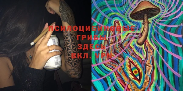 apvp Абаза