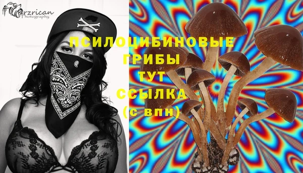 apvp Абаза