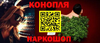 сатива Краснодар