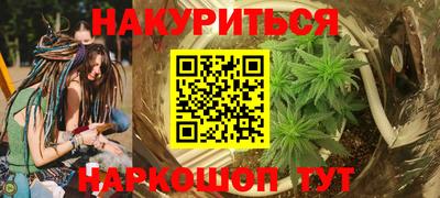 сатива Краснодар