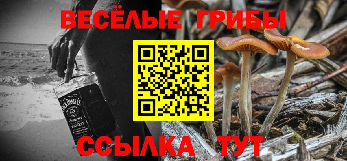 Дербент  Псилоцибиновые грибы Magic Shrooms  Вход с VPN 